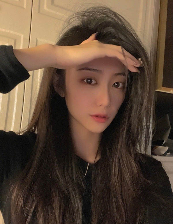 多伦多伴游价格